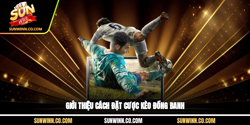 Giới thiệu cách đặt cược kèo đồng banh