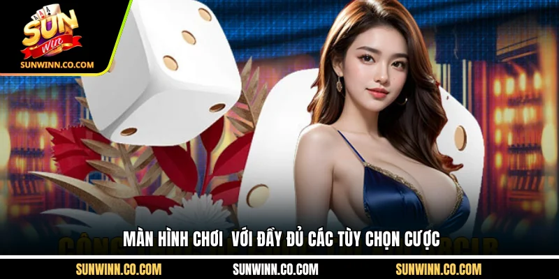 Màn hình chơi với đầy đủ các tùy chọn cược